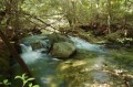 Coxing Kill stream