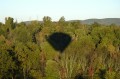 Shadow cast on trees