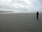 Our first view of the Pacific Ocean. Of course, we had to stop.