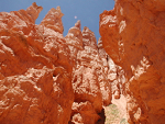 A close-up view of the canyon wall