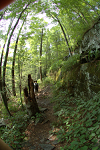 The trail contouring a rock band 