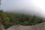 Fog covering the Hudson Valley on a dog day of summer