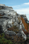 Castle Point cliffs