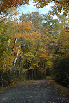 The Upper Awosting Carriageway - our return trail