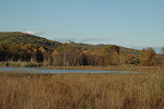 Migrating geese stopping by near Bonticou Crags