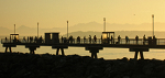 Salmon fishing from the pier