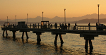 Salmon fishing from the pier