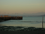 Early morning light hitting the Olympic Mountains