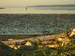 Oak Harbor at sunrise