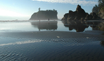 Sea stacks 
