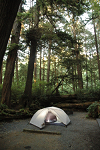 Our campsite at Kalaloch