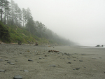 Fog enshrouds the Pacific coast