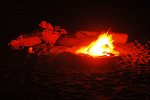 Campfire on the beach near Kalaloch campgrounds