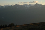 Mount Olympus (distant peaks) and Carrie Glacier from Hurricane Ridge (5,242 ft)