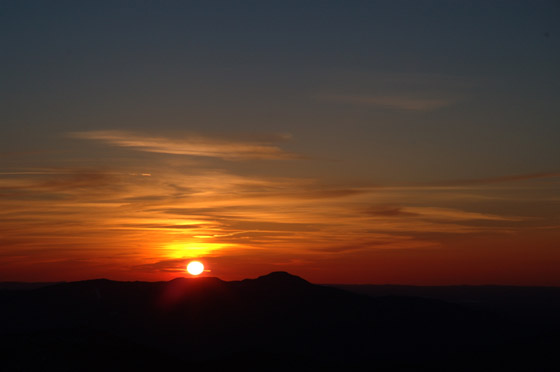DSC_2346_raw