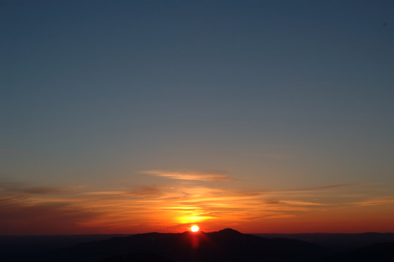 DSC_2348_raw