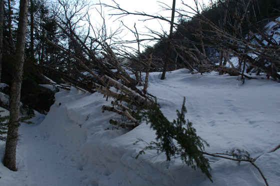 DSC_2362_raw
