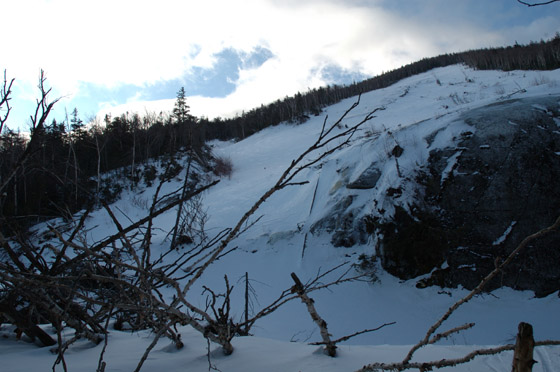 DSC_2363_raw