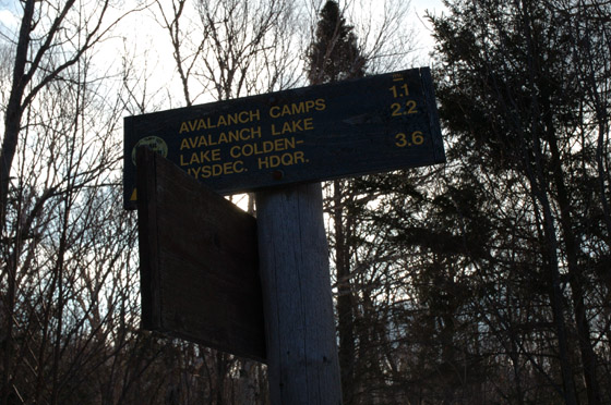 DSC_2366_raw