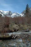 Big Pine Creek near Glacier Lodge