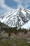 North Fork of Big Pine trail between First and Second Falls