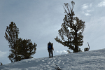 Late afternoon trekking
