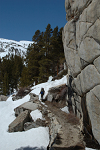 Snowshoeing the North Fork of Big Pine