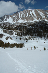 Tracks to Sam Mack Meadow